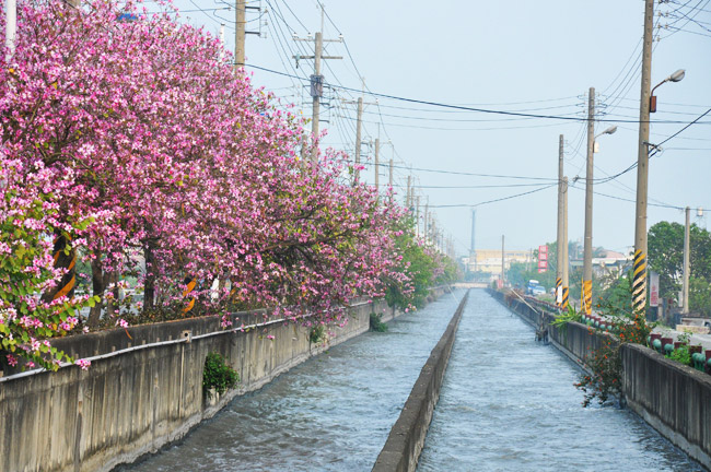 莿仔埤圳