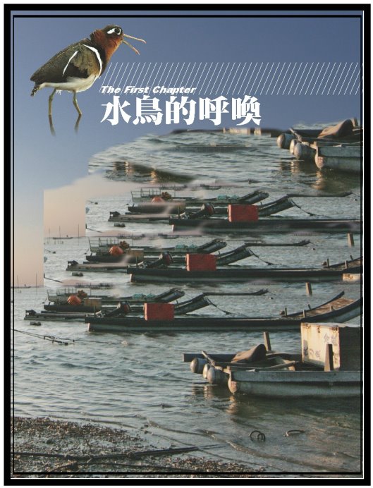 水鳥的呼喚圖片