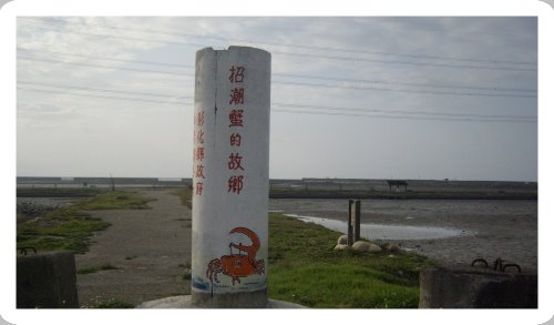 招潮蟹的故鄉圖片