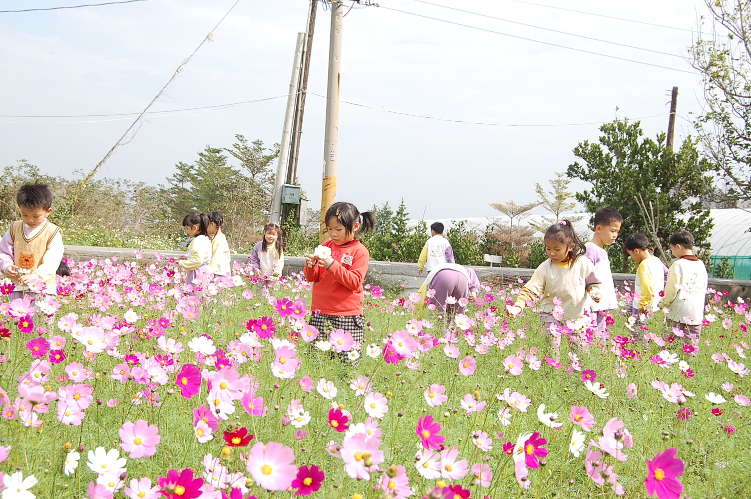 花卉市集
