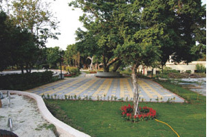 德美公園空間改善綠草如茵
