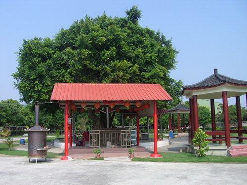 埤頭公園