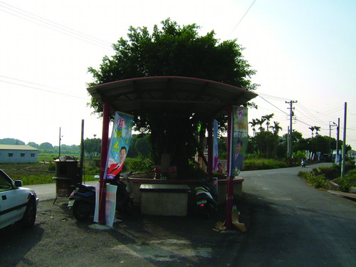 崙子村厝仔榕樹